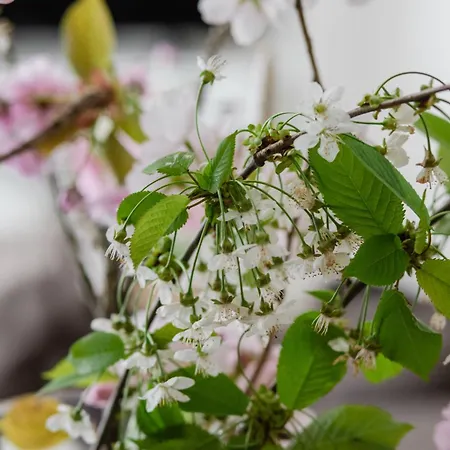 아파트 Ts Gold New Town & Free Private Parking