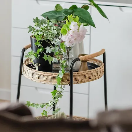 Ts Gold New Town & Free Private Parking