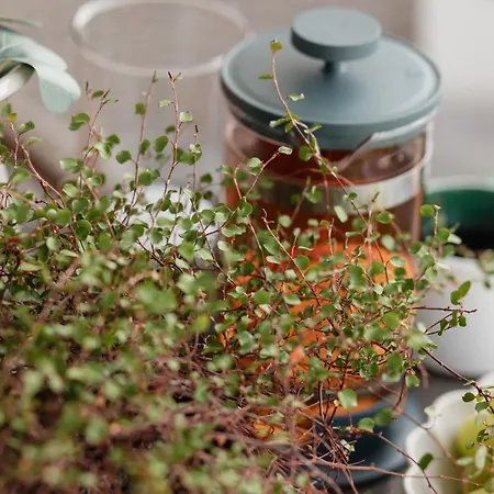 Ts Gold New Town & Free Private Parking 슈체친