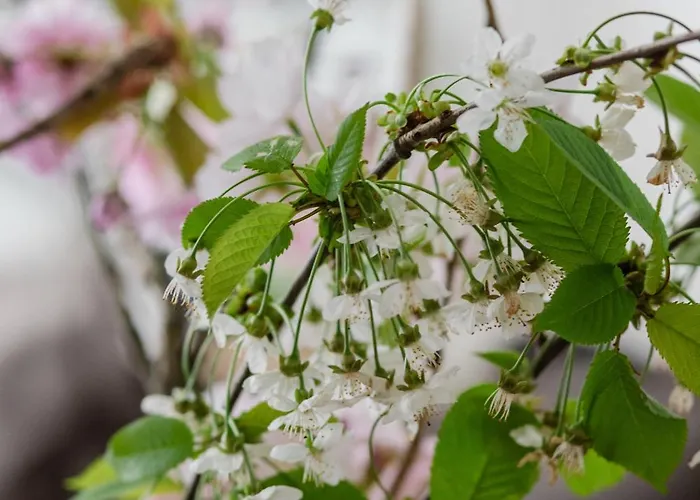 Διαμέρισμα Ts Gold New Town & Free Private Parking