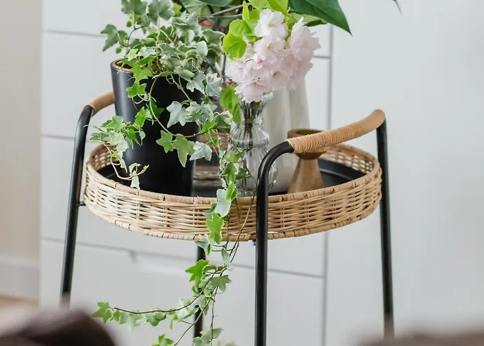 Ts Gold New Town & Free Private Parking