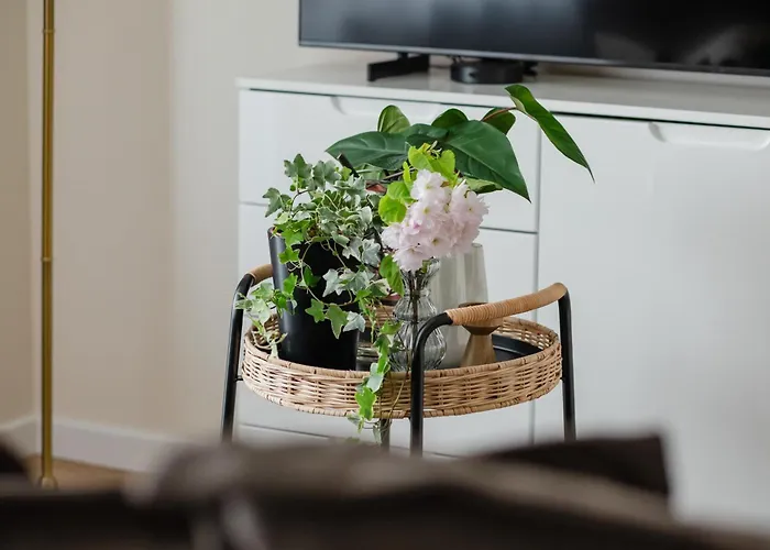 Ts Gold New Town & Free Private Parking