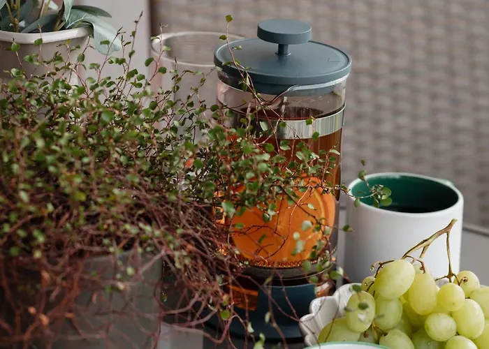 Διαμέρισμα Ts Gold New Town & Free Private Parking Στσέτσιν