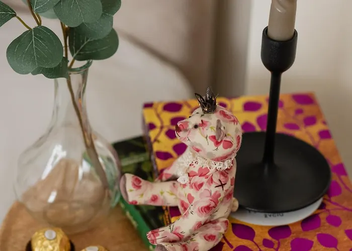 Ts Gold New Town & Free Private Parking Στσέτσιν